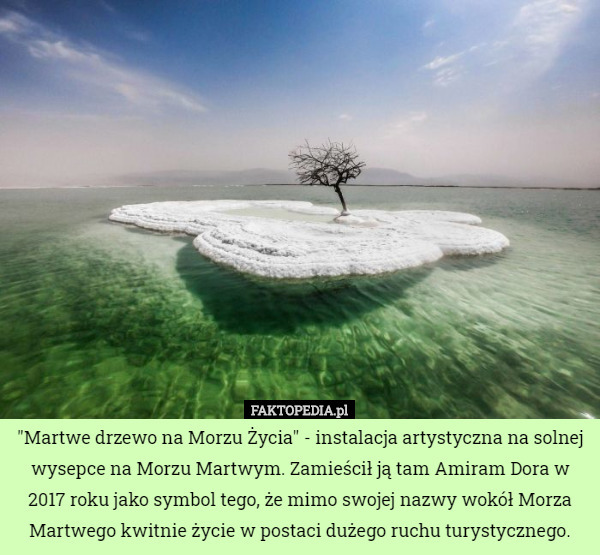 "Martwe drzewo na Morzu Życia" - instalacja artystyczna na solnej wysepce na Morzu Martwym. Zamieścił ją tam Amiram Dora w 2017 roku jako symbol tego, że mimo swojej nazwy wokół Morza Martwego kwitnie życie w postaci dużego ruchu turystycznego. 