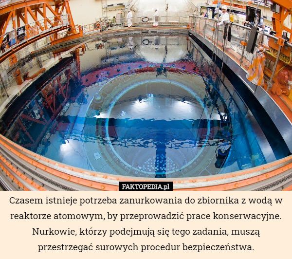 Czasem istnieje potrzeba zanurkowania do zbiornika z wodą w reaktorze atomowym, by przeprowadzić prace konserwacyjne. Nurkowie, którzy podejmują się tego zadania, muszą przestrzegać surowych procedur bezpieczeństwa. 