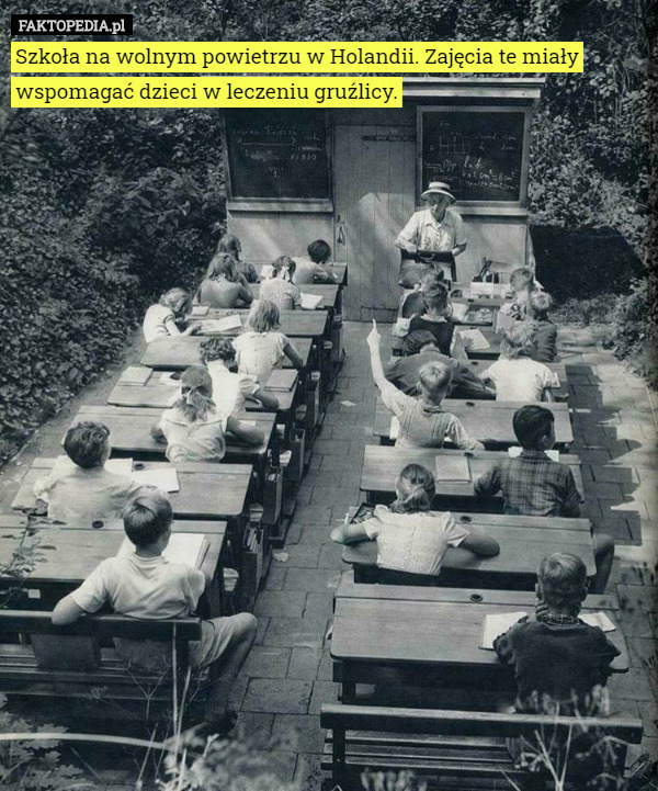 Szkoła na wolnym powietrzu w Holandii. Zajęcia te miały wspomagać dzieci w leczeniu gruźlicy. 