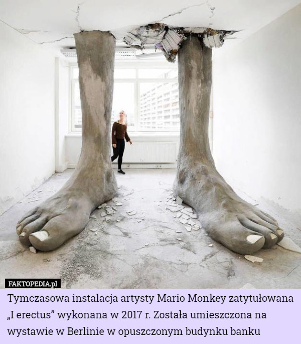Tymczasowa instalacja artysty Mario Monkey zatytułowana „I erectus” wykonana w 2017 r. Została umieszczona na wystawie w Berlinie w opuszczonym budynku banku 