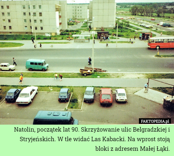 Natolin, początek lat 90. Skrzyżowanie ulic Belgradzkiej i Stryjeńskich. W tle widać Las Kabacki. Na wprost stoją bloki z adresem Małej Łąki. 