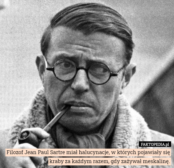 Filozof Jean Paul Sartre miał halucynacje, w których pojawiały się kraby za każdym razem, gdy zażywał meskalinę. 