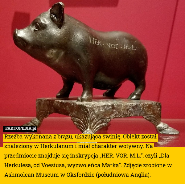 Rzeźba wykonana z brązu, ukazująca świnię. Obiekt został znaleziony w Herkulanum i miał charakter wotywny. Na przedmiocie znajduje się inskrypcja „HER. VOR. M.L.”, czyli „Dla Herkulesa, od Voesiusa, wyzwoleńca Marka”. Zdjęcie zrobione w Ashmolean Museum w Oksfordzie (południowa Anglia). 