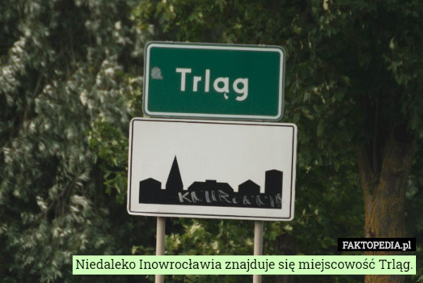 Niedaleko Inowrocławia znajduje się miejscowość Trląg. 