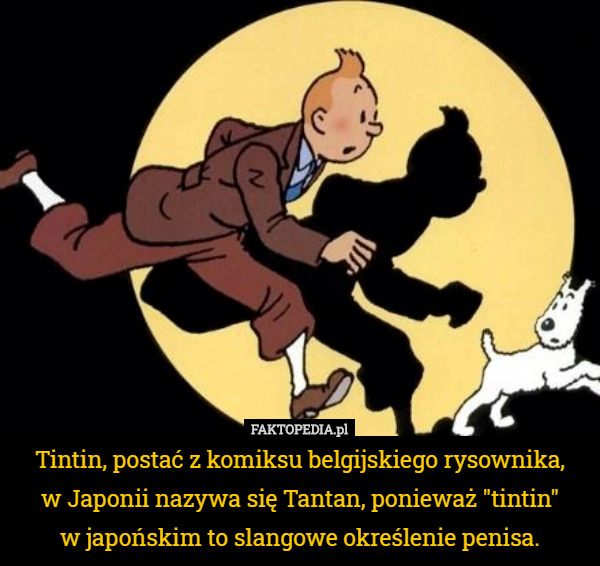 Tintin, postać z komiksu belgijskiego rysownika,
 w Japonii nazywa się Tantan, ponieważ "tintin"
 w japońskim to slangowe określenie penisa. 