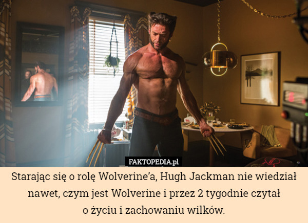 Starając się o rolę Wolverine’a, Hugh Jackman nie wiedział nawet, czym jest Wolverine i przez 2 tygodnie czytał
 o życiu i zachowaniu wilków. 