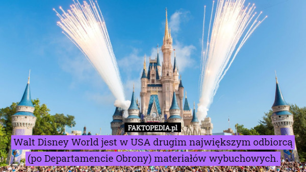 Walt Disney World jest w USA drugim największym odbiorcą (po Departamencie Obrony) materiałów wybuchowych. 