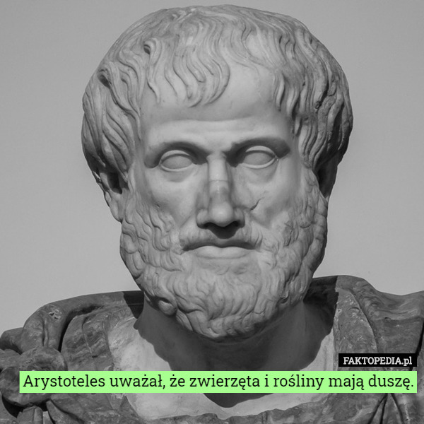 Arystoteles uważał, że zwierzęta i rośliny mają duszę. 