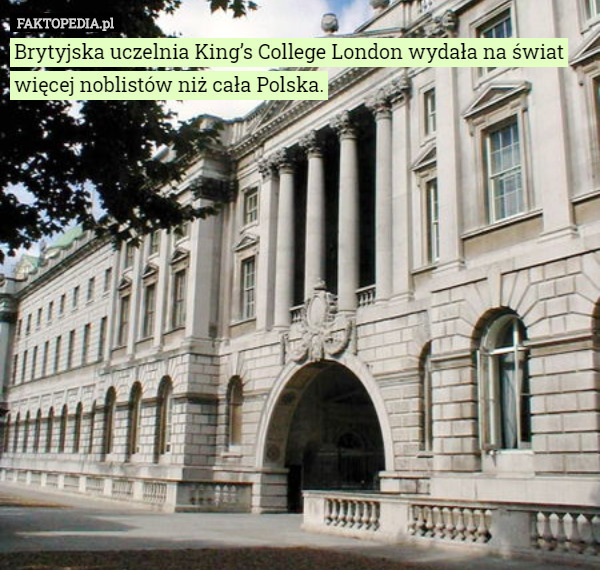 Brytyjska uczelnia King’s College London wydała na świat więcej noblistów niż cała Polska. 