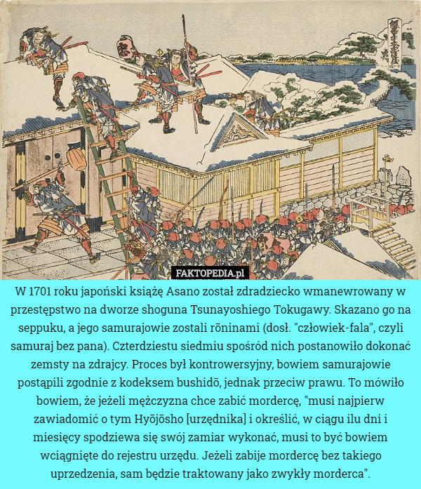 W 1701 roku japoński książę Asano został zdradziecko wmanewrowany w przestępstwo na dworze shoguna Tsunayoshiego Tokugawy. Skazano go na seppuku, a jego samurajowie zostali rōninami (dosł. "człowiek-fala", czyli samuraj bez pana). Czterdziestu siedmiu spośród nich postanowiło dokonać zemsty na zdrajcy. Proces był kontrowersyjny, bowiem samurajowie postąpili zgodnie z kodeksem bushidō, jednak przeciw prawu. To mówiło bowiem, że jeżeli mężczyzna chce zabić mordercę, "musi najpierw zawiadomić o tym Hyōjōsho [urzędnika] i określić, w ciągu ilu dni i miesięcy spodziewa się swój zamiar wykonać, musi to być bowiem wciągnięte do rejestru urzędu. Jeżeli zabije mordercę bez takiego uprzedzenia, sam będzie traktowany jako zwykły morderca". 