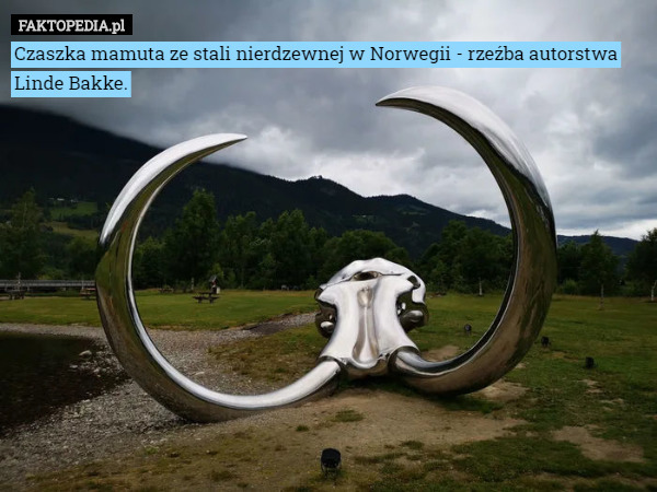 Czaszka mamuta ze stali nierdzewnej w Norwegii - rzeźba autorstwa Linde Bakke. 