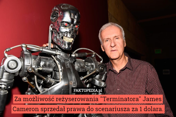 Za możliwość reżyserowania "Terminatora" James Cameron sprzedał prawa do scenariusza za 1 dolara. 
