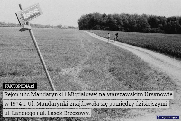 Rejon ulic Mandarynki i Migdałowej na warszawskim Ursynowie w 1974 r. Ul. Mandarynki znajdowała się pomiędzy dzisiejszymi
 ul. Lanciego i ul. Lasek Brzozowy. 