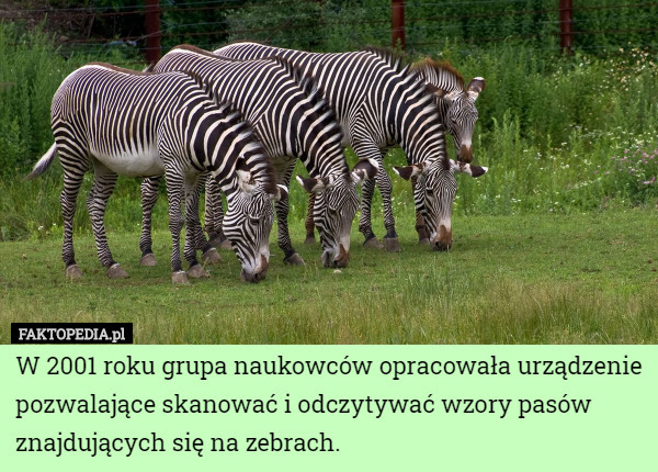 W 2001 roku grupa naukowców opracowała urządzenie pozwalające skanować i odczytywać wzory pasów znajdujących się na zebrach. 