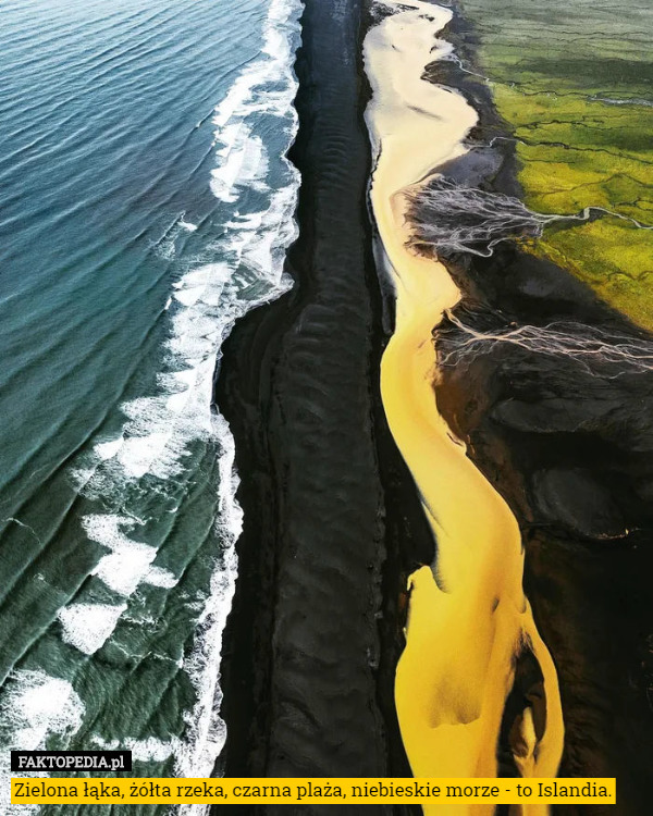 Zielona łąka, żółta rzeka, czarna plaża, niebieskie morze - to Islandia. 