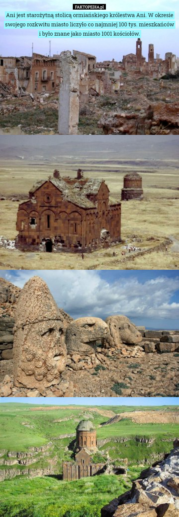 Ani jest starożytną stolicą ormiańskiego królestwa Ani. W okresie swojego rozkwitu miasto liczyło co najmniej 100 tys. mieszkańców i było znane jako miasto 1001 kościołów. 