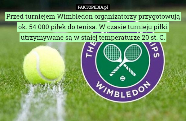 Przed turniejem Wimbledon organizatorzy przygotowują ok. 54 000 piłek do tenisa. W czasie turnieju piłki utrzymywane są w stałej temperaturze 20 st. C. 