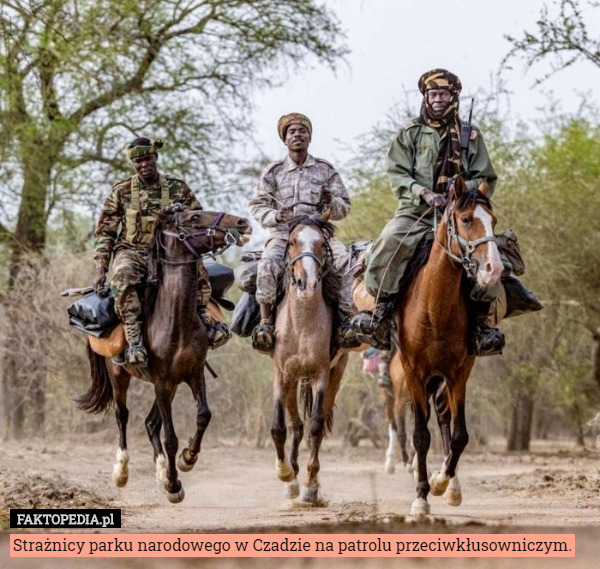 Strażnicy parku narodowego w Czadzie na patrolu przeciwkłusowniczym. 