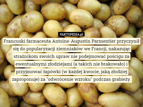 Francuski farmaceuta Antoine-Augustin Parmentier przyczynił się do popularyzacji ziemniaków we Francji, nakazując strażnikom swoich upraw nie podejmować pościgu za ewentualnymi złodziejami (a takich nie brakowało) i przyjmować łapówki (w każdej kwocie, jaką złodziej zaproponuje) za "odwrócenie wzroku" podczas grabieży. 