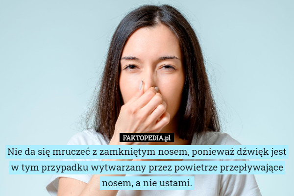 Nie da się mruczeć z zamkniętym nosem, ponieważ dźwięk jest w tym przypadku wytwarzany przez powietrze przepływające nosem, a nie ustami. 