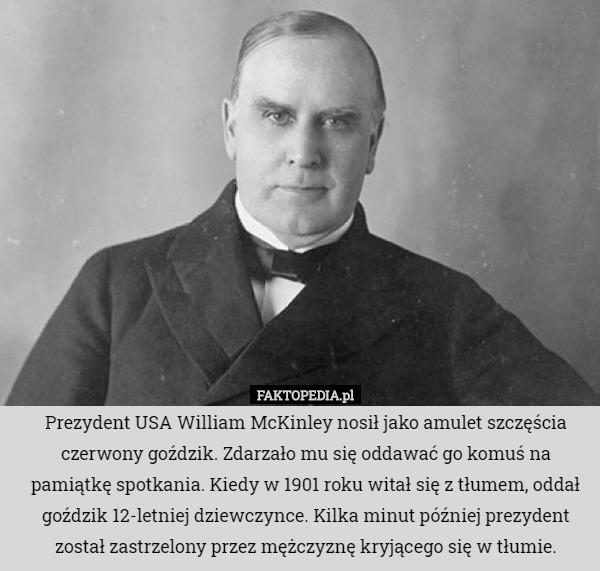 Prezydent USA William McKinley nosił jako amulet szczęścia czerwony goździk. Zdarzało mu się oddawać go komuś na pamiątkę spotkania. Kiedy w 1901 roku witał się z tłumem, oddał goździk 12-letniej dziewczynce. Kilka minut później prezydent został zastrzelony przez mężczyznę kryjącego się w tłumie. 
