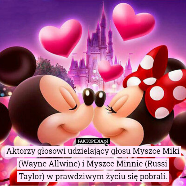 Aktorzy głosowi udzielający głosu Myszce Miki (Wayne Allwine) i Myszce Minnie (Russi Taylor) w prawdziwym życiu się pobrali. 