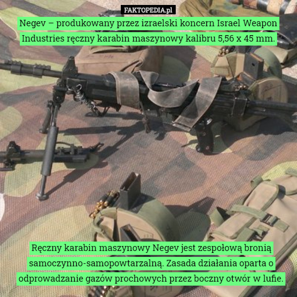 Negev – produkowany przez izraelski koncern Israel Weapon Industries ręczny karabin maszynowy kalibru 5,56 x 45 mm. Ręczny karabin maszynowy Negev jest zespołową bronią samoczynno-samopowtarzalną. Zasada działania oparta o odprowadzanie gazów prochowych przez boczny otwór w lufie. 