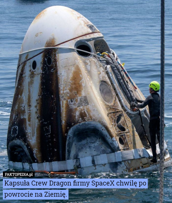Kapsuła Crew Dragon firmy SpaceX chwilę po powrocie na Ziemię. 