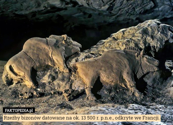 Rzeźby bizonów datowane na ok. 13 500 r. p.n.e., odkryte we Francji. 