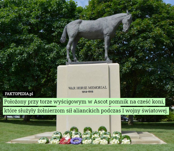 Położony przy torze wyścigowym w Ascot pomnik na cześć koni, które służyły żołnierzom sił alianckich podczas I wojny światowej. 