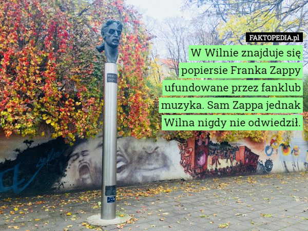 W Wilnie znajduje się popiersie Franka Zappy ufundowane przez fanklub muzyka. Sam Zappa jednak Wilna nigdy nie odwiedził. 
