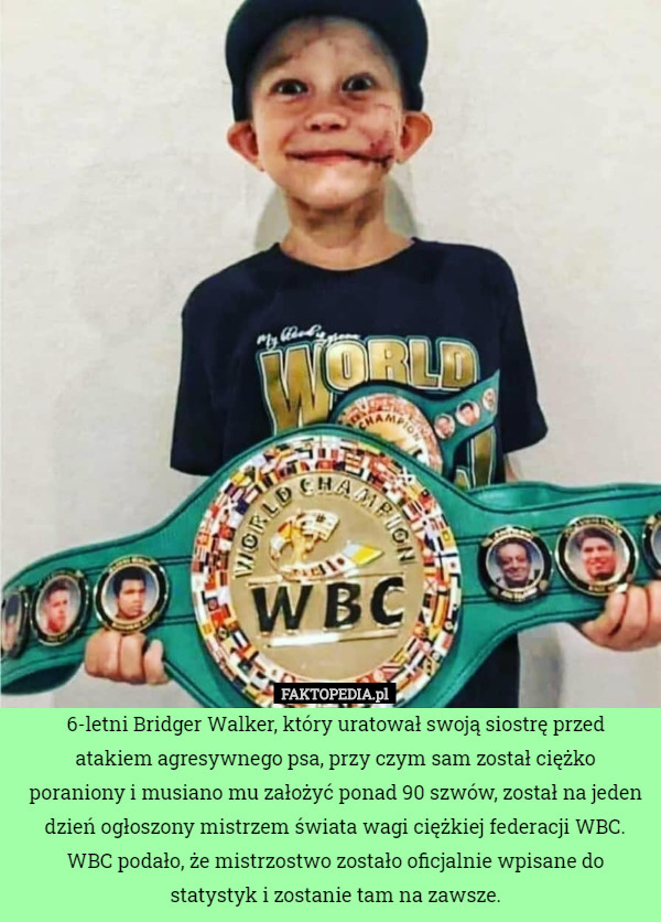 6-letni Bridger Walker, który uratował swoją siostrę przed atakiem agresywnego psa, przy czym sam został ciężko poraniony i musiano mu założyć ponad 90 szwów, został na jeden dzień ogłoszony mistrzem świata wagi ciężkiej federacji WBC. WBC podało, że mistrzostwo zostało oficjalnie wpisane do statystyk i zostanie tam na zawsze. 