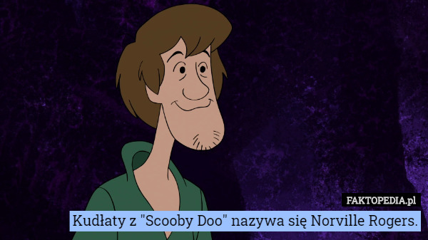 Kudłaty z "Scooby Doo" nazywa się Norville Rogers. 