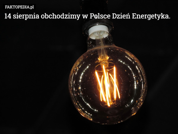 14 sierpnia obchodzimy w Polsce Dzień Energetyka. 