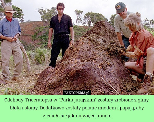 Odchody Triceratopsa w "Parku jurajskim" zostały zrobione z gliny, błota i słomy. Dodatkowo zostały polane miodem i papają, aby zleciało się jak najwięcej much. 
