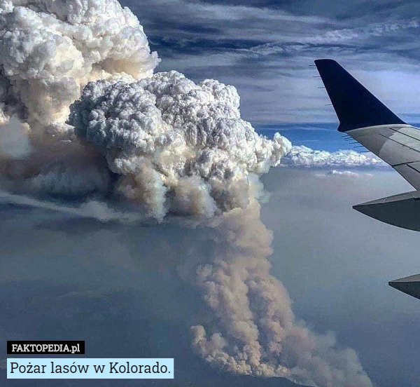 Pożar lasów w Kolorado. 