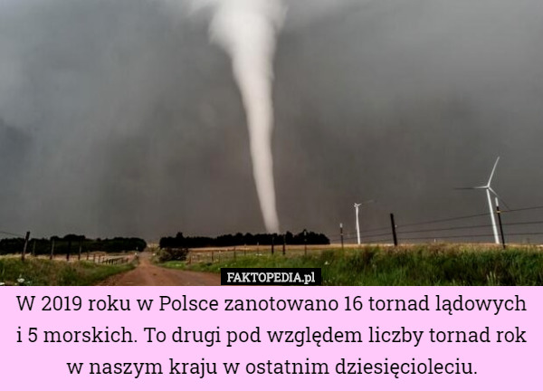 W 2019 roku w Polsce zanotowano 16 tornad lądowych i 5 morskich. To drugi pod względem liczby tornad rok w naszym kraju w ostatnim dziesięcioleciu. 