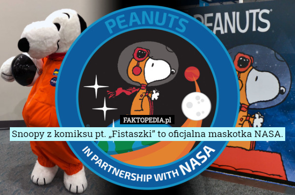 Snoopy z komiksu pt. „Fistaszki” to oficjalna maskotka NASA. 