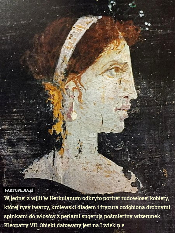 W jednej z willi w Herkulanum odkryto portret rudowłosej kobiety, której rysy twarzy, królewski diadem i fryzura ozdobiona drobnymi spinkami do włosów z perłami sugerują pośmiertny wizerunek Kleopatry VII. Obiekt datowany jest na I wiek n.e. 