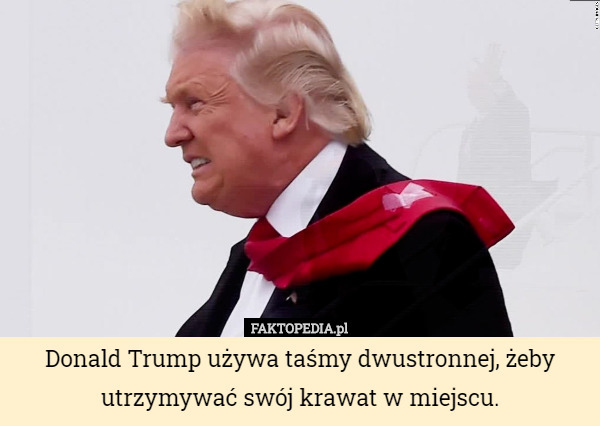 Donald Trump używa taśmy dwustronnej, żeby utrzymywać swój krawat w miejscu. 