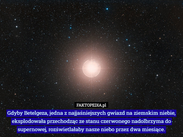 Gdyby Betelgeza, jedna z najjaśniejszych gwiazd na ziemskim niebie, eksplodowała przechodząc ze stanu czerwonego nadolbrzyma do supernowej, rozświetlałaby nasze niebo przez dwa miesiące. 