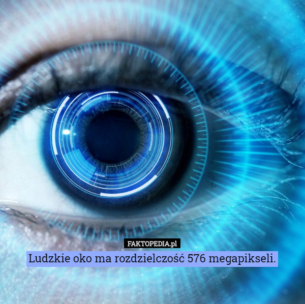 Ludzkie oko ma rozdzielczość 576 megapikseli. 