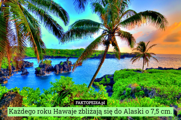 Każdego roku Hawaje zbliżają się do Alaski o 7,5 cm. 