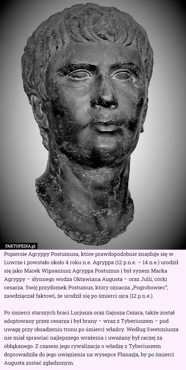 Popiersie Agryppy Postumusa, które prawdopodobnie znajduje się w Luwrze i powstało około 4 roku n.e. Agryppa (12 p.n.e. – 14 n.e.) urodził się jako Marek Wipsaniusz Agryppa Postumus i był synem Marka Agryppy – słynnego wodza Oktawiana Augusta – oraz Julii, córki cesarza. Swój przydomek Postumus, który oznacza „Pogrobowiec”, zawdzięczał faktowi, że urodził się po śmierci ojca (12 p.n.e.).

Po śmierci starszych braci Lucjusza oraz Gajusza Cezara, także został adoptowany przez cesarza i był brany – wraz z Tyberiuszem – pod uwagę przy obsadzeniu tronu po śmierci władcy. Według Swetoniusza nie miał sprawiać najlepszego wrażenia i uważany był raczej za obłąkanego. Z czasem jego rywalizacja o władzę z Tyberiuszem doprowadziła do jego uwięzienia na wysepce Planazja, by po śmierci Augusta zostać zgładzonym. 