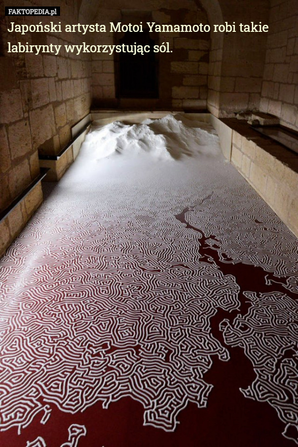 Japoński artysta Motoi Yamamoto robi takie labirynty wykorzystując sól. 