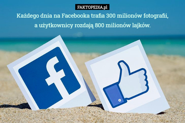 Każdego dnia na Facebooka trafia 300 milionów fotografii,
a użytkownicy rozdają 800 milionów lajków. 