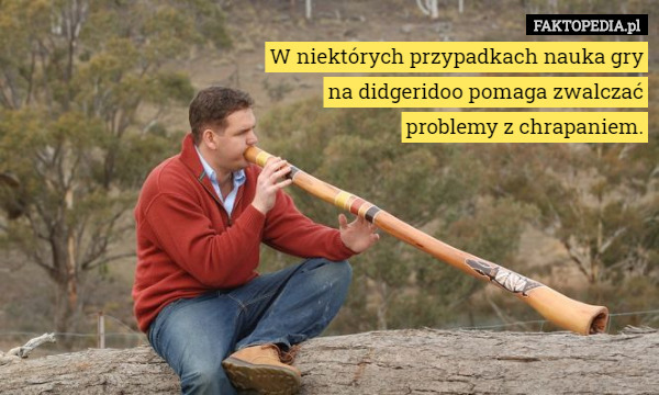W niektórych przypadkach nauka gry na didgeridoo pomaga zwalczać problemy z chrapaniem. 