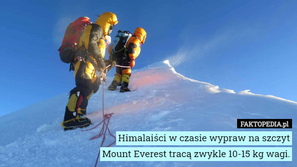 Himalaiści w czasie wypraw na szczyt Mount Everest tracą zwykle 10-15 kg wagi. 