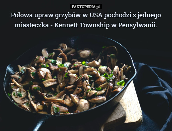 Połowa upraw grzybów w USA pochodzi z jednego miasteczka - Kennett Township w Pensylwanii. 