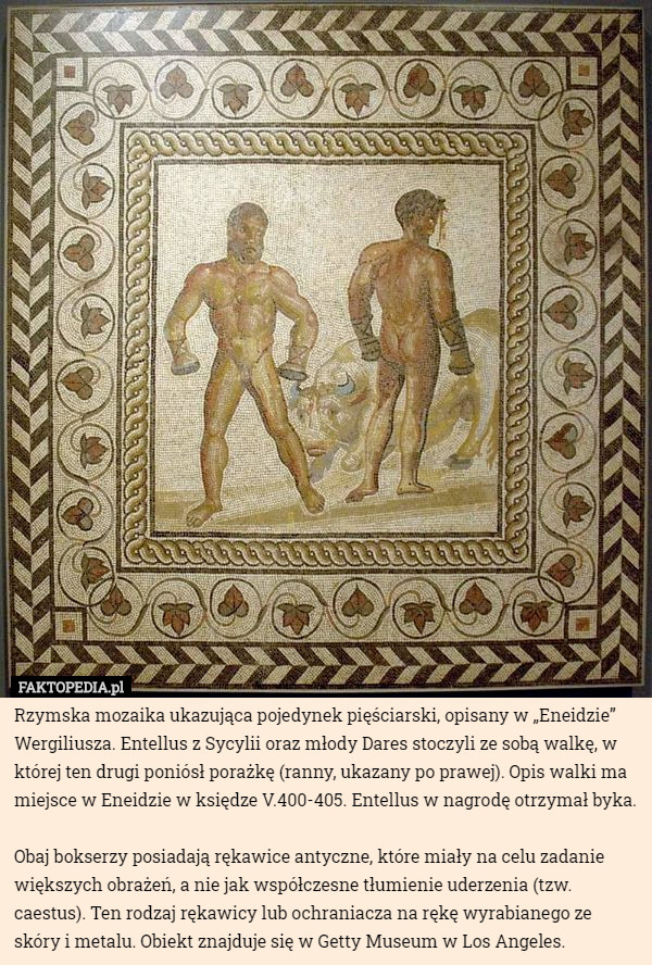 Rzymska mozaika ukazująca pojedynek pięściarski, opisany w „Eneidzie” Wergiliusza. Entellus z Sycylii oraz młody Dares stoczyli ze sobą walkę, w której ten drugi poniósł porażkę (ranny, ukazany po prawej). Opis walki ma miejsce w Eneidzie w księdze V.400-405. Entellus w nagrodę otrzymał byka.

Obaj bokserzy posiadają rękawice antyczne, które miały na celu zadanie większych obrażeń, a nie jak współczesne tłumienie uderzenia (tzw. caestus). Ten rodzaj rękawicy lub ochraniacza na rękę wyrabianego ze skóry i metalu. Obiekt znajduje się w Getty Museum w Los Angeles. 